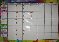 ashlyn's chart