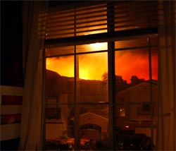 wildfire