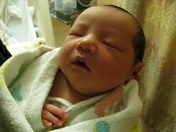 baby enzo
